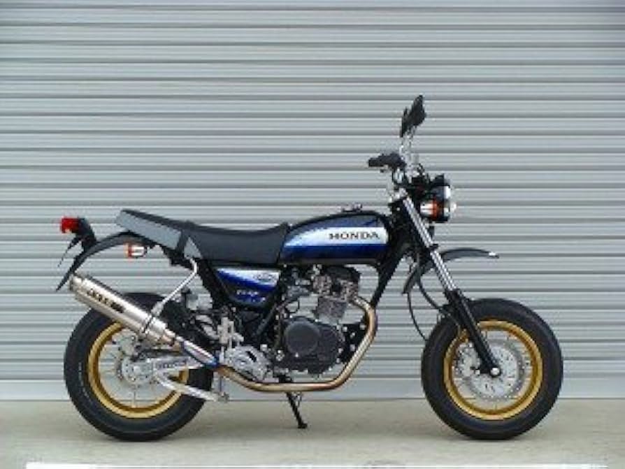 Amazon | オーヴァーレーシング(OVER RACING) フルエキゾースト