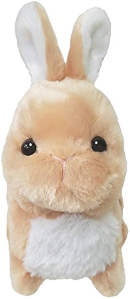 Amazon.co.jp: 【BESTEVER】プレミアムバニー Premium Bunny うさぎ