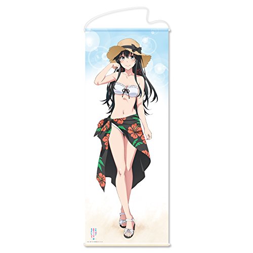 Amazon.co.jp: やはり俺の青春ラブコメはまちがっている。続 描き