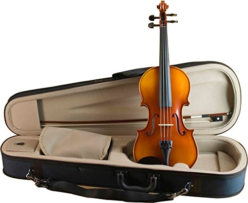 Amazon | 鈴木 アウトフィット バイオリン No.230 4/4 | 弓 | 楽器