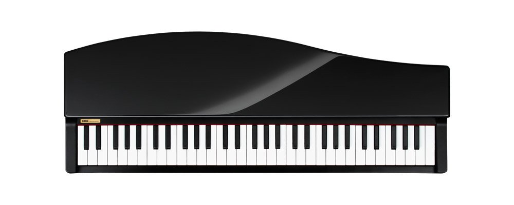 Amazon.com: Korg microPiano 61 - Key Minature Grand Piano, Black