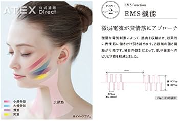 Amazon.co.jp: アテックス(ATEX) ルルド フェイスメイクローラー AX