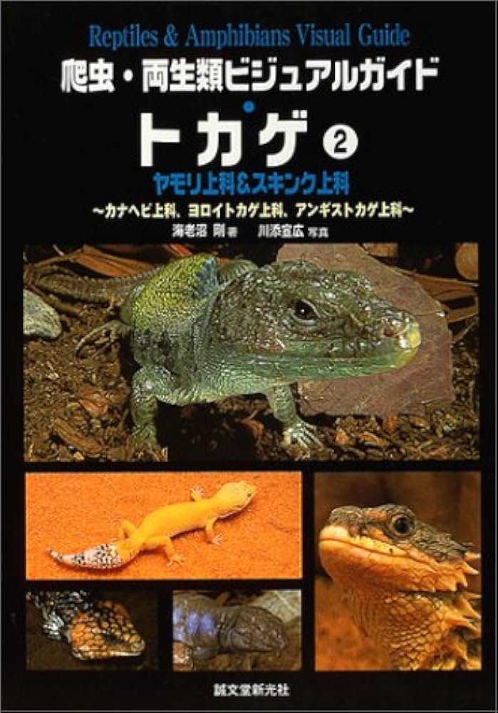 トカゲ 2 (爬虫・両生類ビジュアルガイド) | 海老沼 剛, 川添 宣広 |本