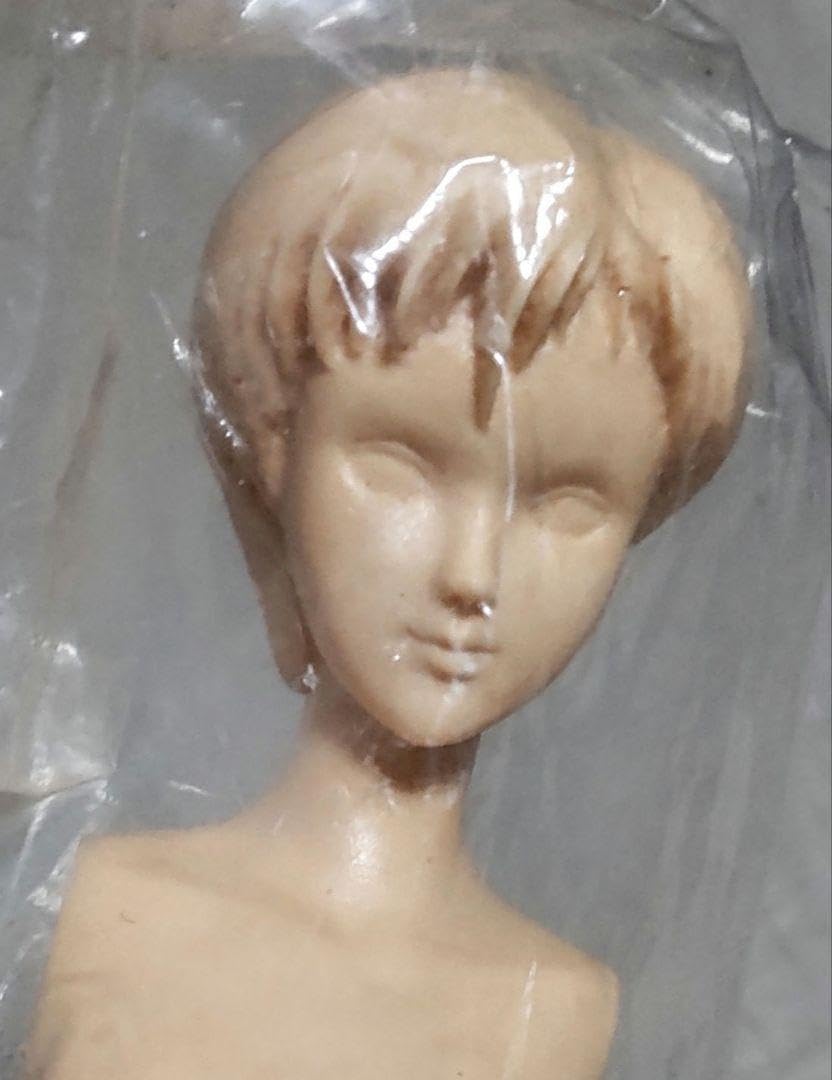 Amazon.co.jp: ガレージキット スケバン刑事 Ⅱ 1 6 ビー玉のお京