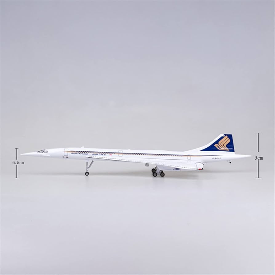 Amazon.co.jp: コピー飛行機モデル 50 センチメートル 1/125