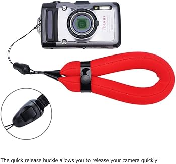 516Idu9eomL._AC_UF350,