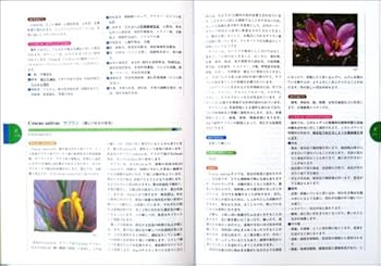 ホメオパシー マテリアメディカ | 森井啓二 |本 | 通販 | Amazon