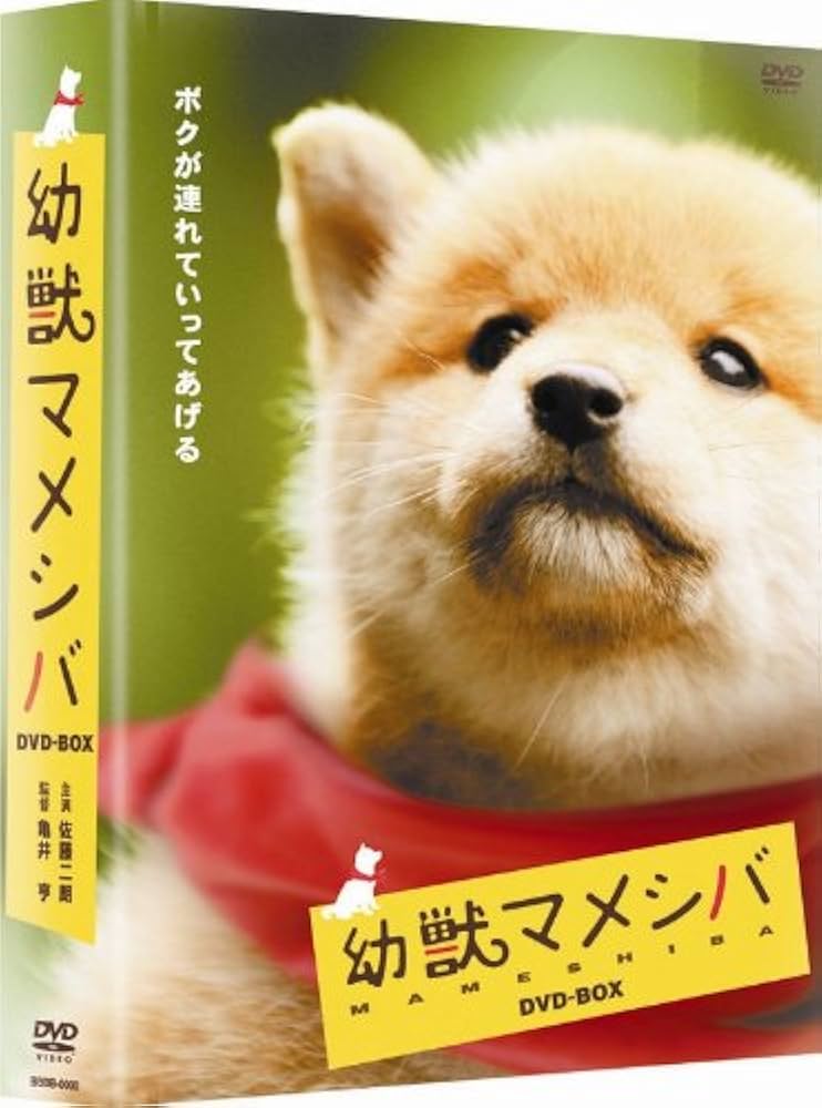 Amazon.co.jp: 幼獣マメシバ DVD-BOX : 佐藤二朗, 高橋洋, 藤田弓子: DVD