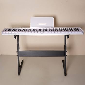 516z7JiNPtL._AC_UF350,