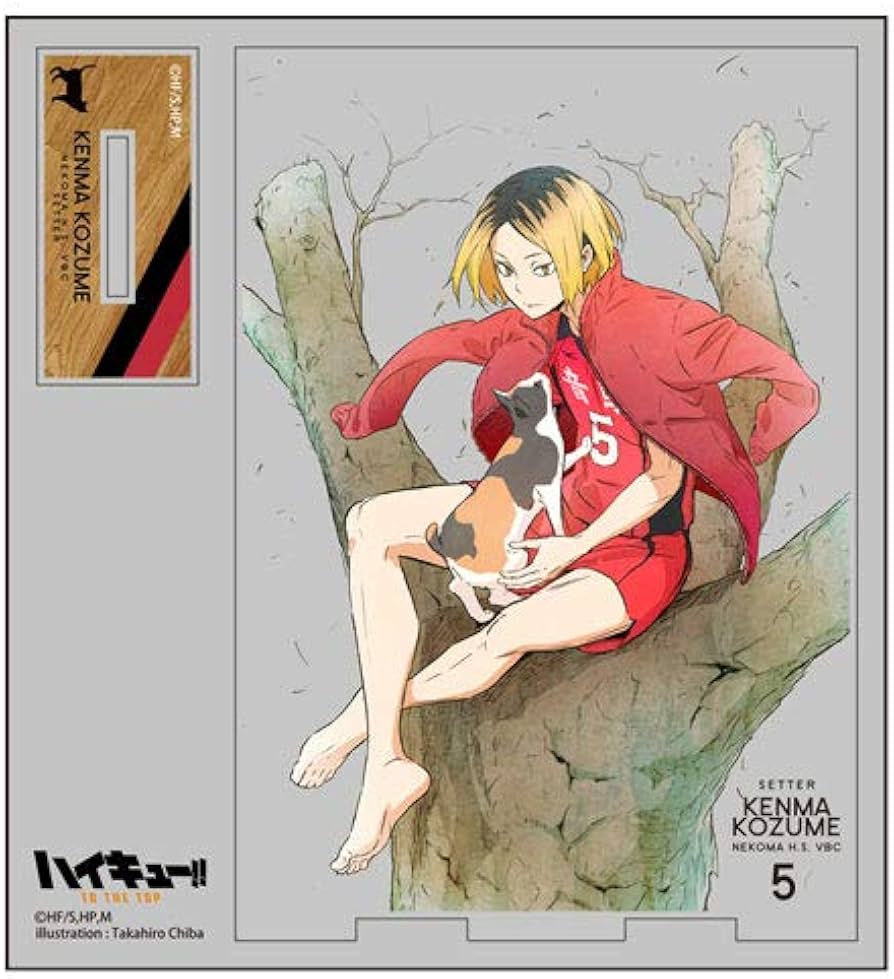 Amazon.co.jp: コスパ ハイキュー!! 孤爪研磨 アクリルスタンド : おもちゃ