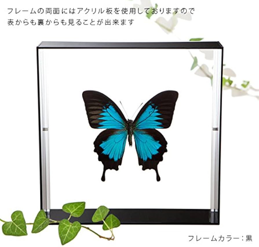 517OQK5SiML._AC_UF894,