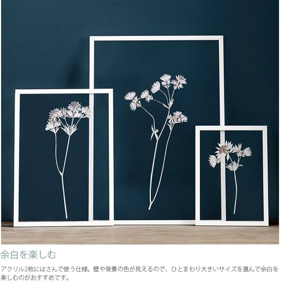 Amazon.co.jp: MOEBE / フレーム A2(Aluminium(Black) : ホーム＆キッチン