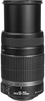 Amazon.com : Canon EF-S 55-250mm f/4.0-5.6 is II Telephoto Zoom