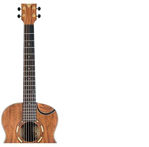 Amazon.com: Washburn Comfort G-Mini 55 Koa Travel Size Acoustic