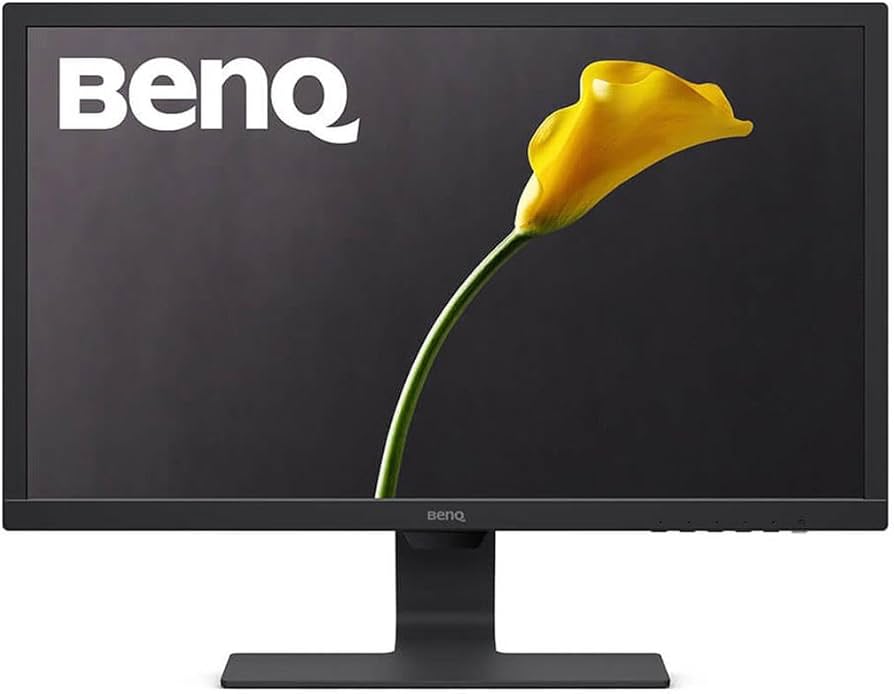 Amazon.com: BenQ GL GL2460HM 24-Inch Screen LED-Lit Monitor, Black