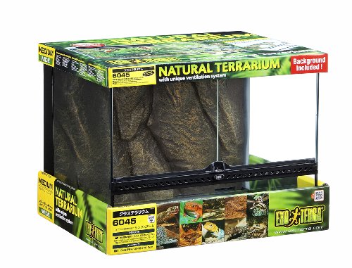 爬虫類用ケージのおすすめ総まとめ [ サイズ・ペットの種類別 ]｜ZOOO