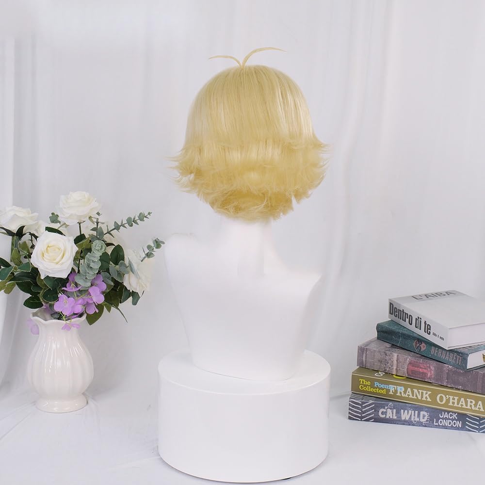 Amazon.co.jp: 埴之塚光邦 ハニー先輩 ウィッグ かつら コスプレ