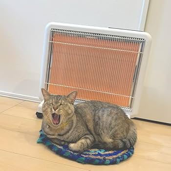 Amazon | サンルミエシリーズ最上位モデル エクセラ7(ホワイト) 省エネ