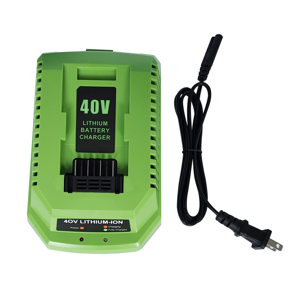 Amazon.com: Replacement for GreenWorks 40V Battery Charger