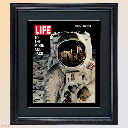 Amazon.co.jp: LIFE誌 額入り ポスター MOON BACK ライフ アメリカ雑誌