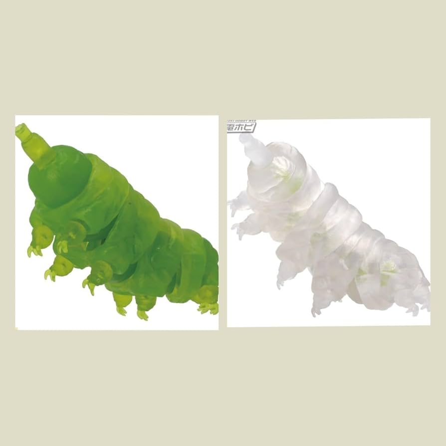 Amazon.co.jp: 原色図鑑シリーズ番外編 クマムシ クマムシ 透明色/捕食