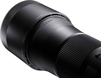 Amazon.com : Sigma 150-600mm 5-6.3 Contemporary DG OS HSM Lens for