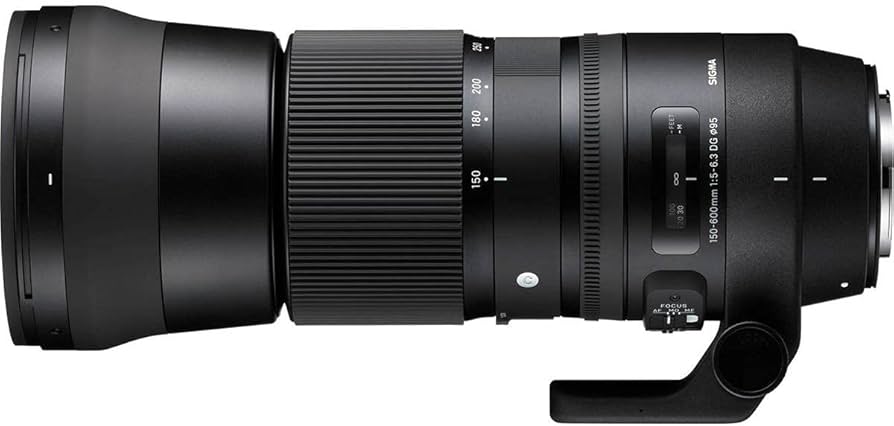 Amazon.co.jp: SIGMA 150-600mm F5-6.3 DG OS HSM | Contemporary C015