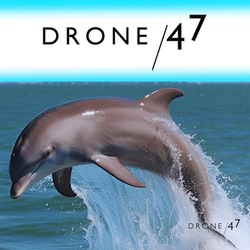 Amazon.com: 〘DRONE / 47〙ドローン操縦・点検撮影・空撮・案件獲得