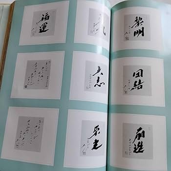 Amazon.co.jp: 超 非売品『会長寫眞集』会長就任7周年 会長写真集