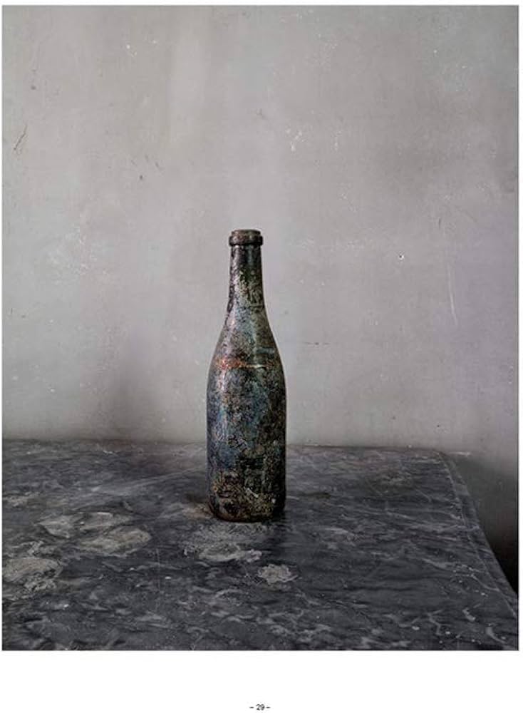 Amazon | Joel Meyerowitz: Cézanne's Objects | Meyerowitz, Joel