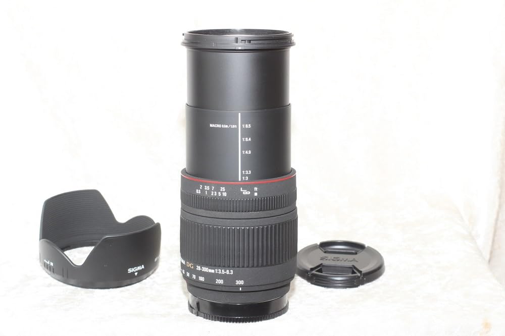 Amazon.com : Sigma 28-300mm f/3.5-6.3 DG IF Macro Aspherical Lens