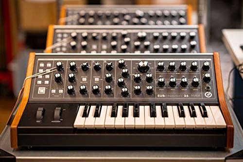 Amazon.co.jp: moog モーグ/Subsequent 25 アナログ・シンセサイザー