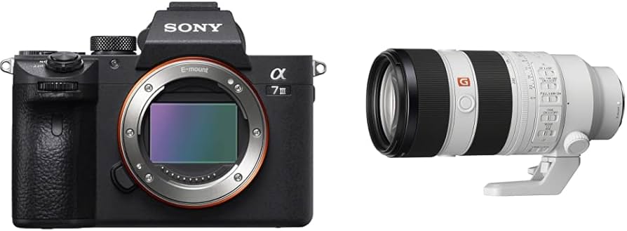 Amazon.com : Sony a7 III ILCE7M3/B Full-Frame Mirrorless