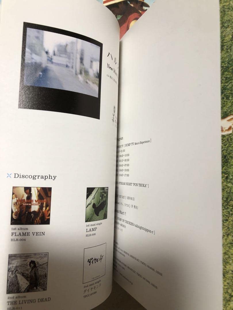 bump of chiken サーフフォトポーキン 写真集 bump of chiken サーフ