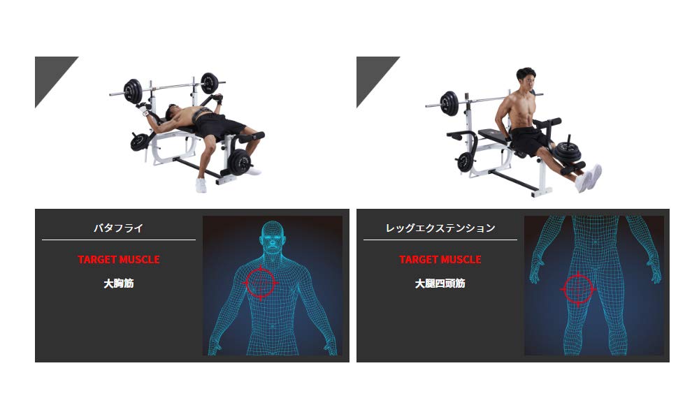 Amazon | BODY DESIGN(ボディデザイン)マルチプレスベンチ │ 腹筋 台