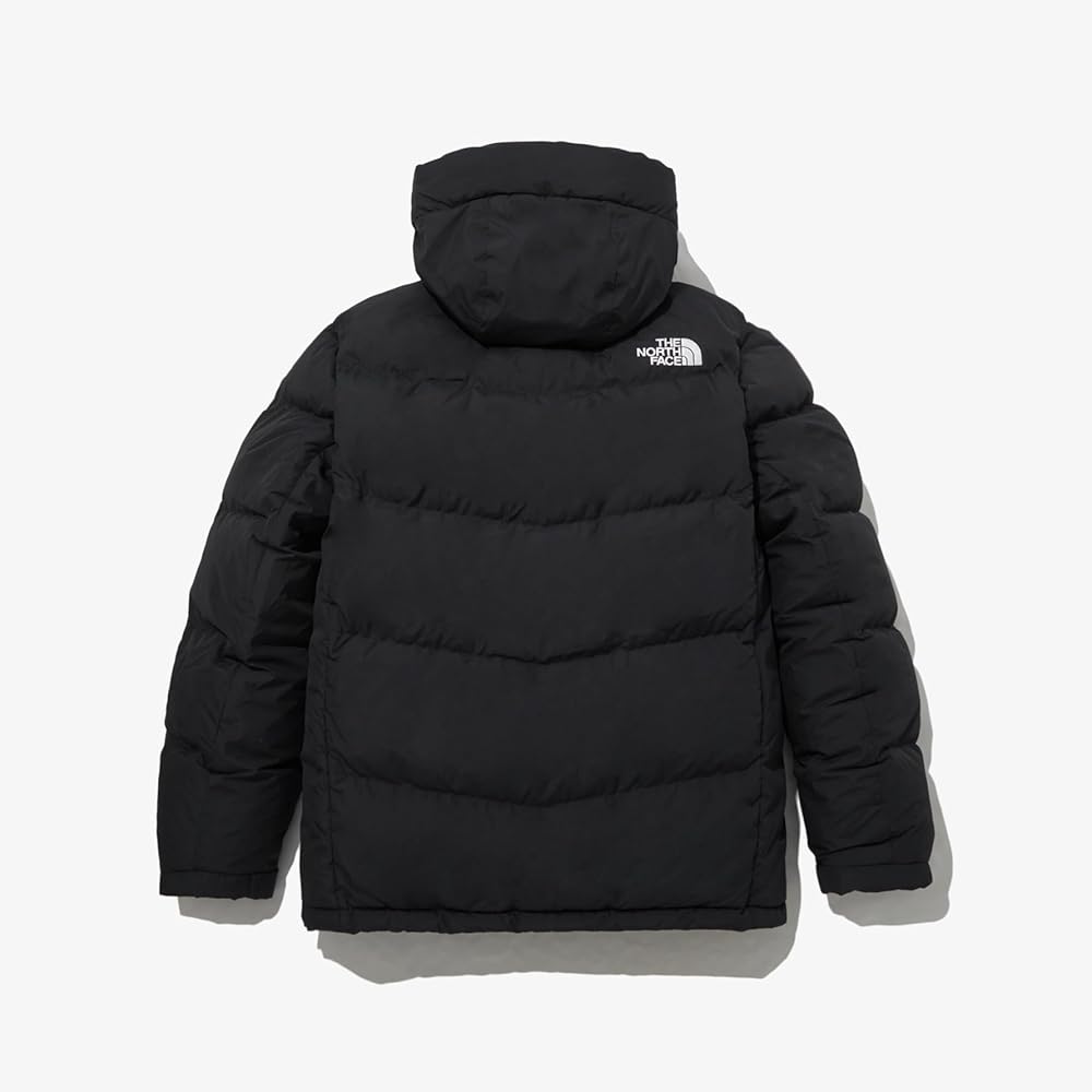 Amazon.co.jp: (ノースフェイス) THE NORTH FACE メンズ ACT FREE EX