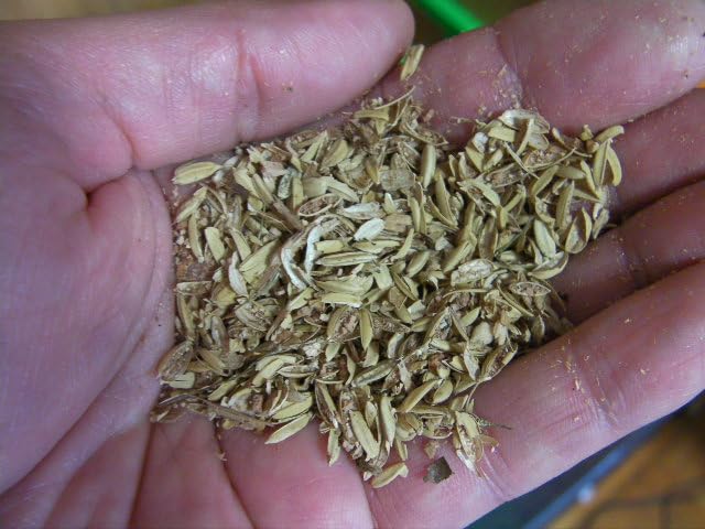 Amazon | 糞尿を分解するマット Bio Gio Mat（バイオジオマット）業務