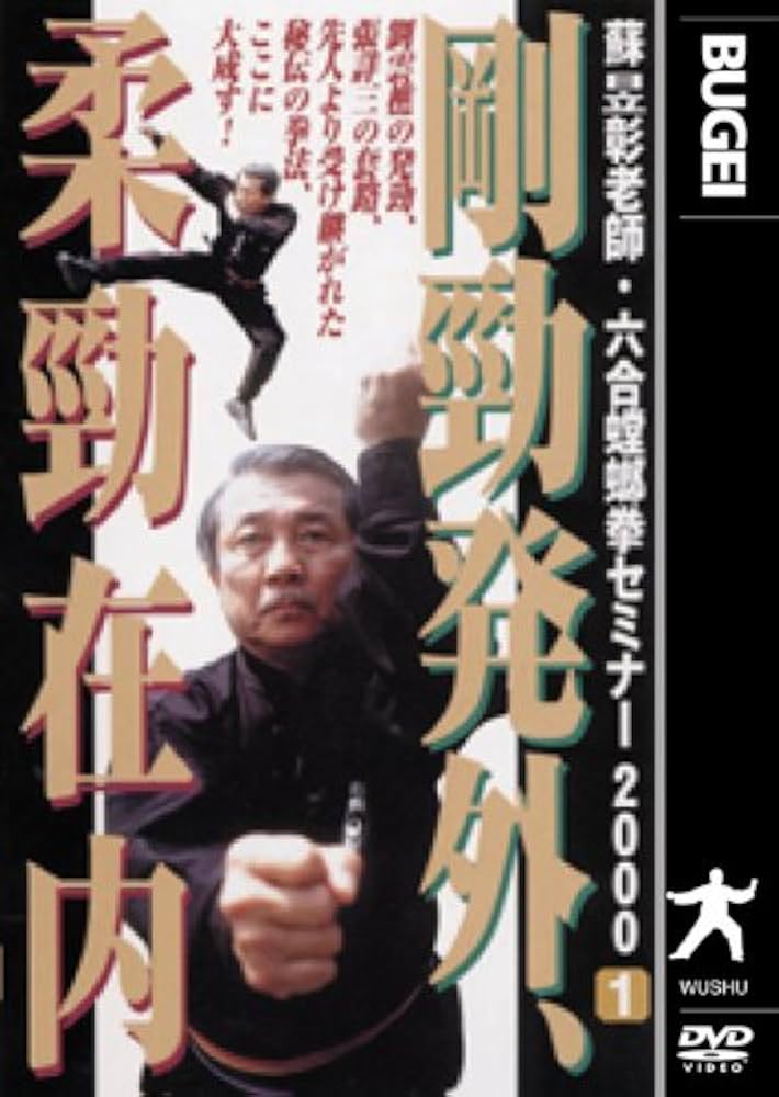 Amazon.co.jp: 六合螳螂拳セミナー2000 剛勁発外、柔勁在内 [DVD