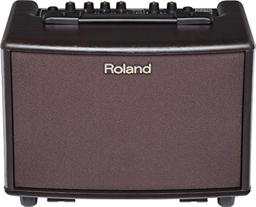 Amazon | Roland ローランド アコースティック ギター アンプ 15W+15W