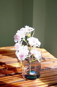 Amazon.co.jp: 【限定特典付き】 サザンオールスターズ LIVE TOUR 2025