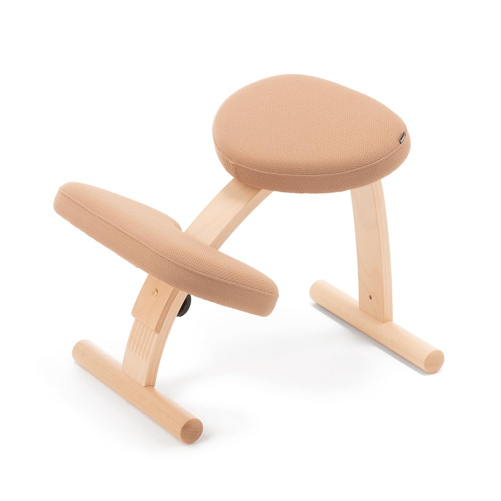 大人気 サカモトハウス バランスイージー バランスチェア バランスラボ