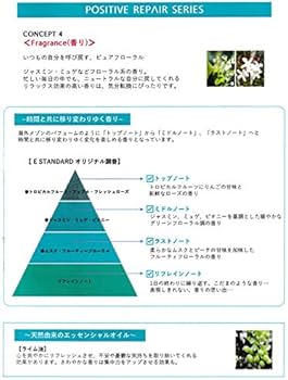 Amazon | E STANDARD イイスタンダード シャンプー ポジティブリペア