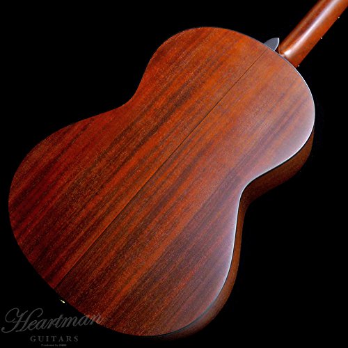 Amazon.co.jp: K.YAIRI RF-90 RB アコースティックギター ハードケース