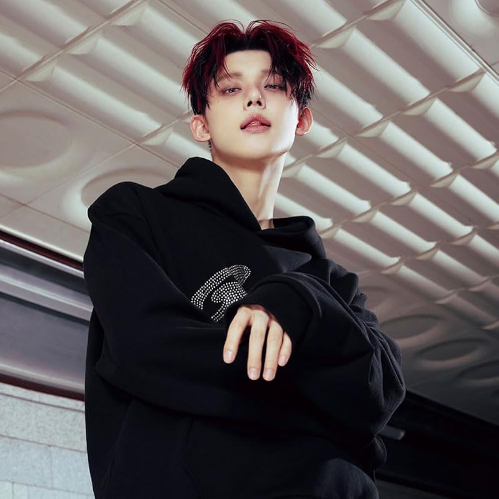 Amazon.co.jp: [福重堂] ヨンジュン グッズ GGUM パーカー 長袖