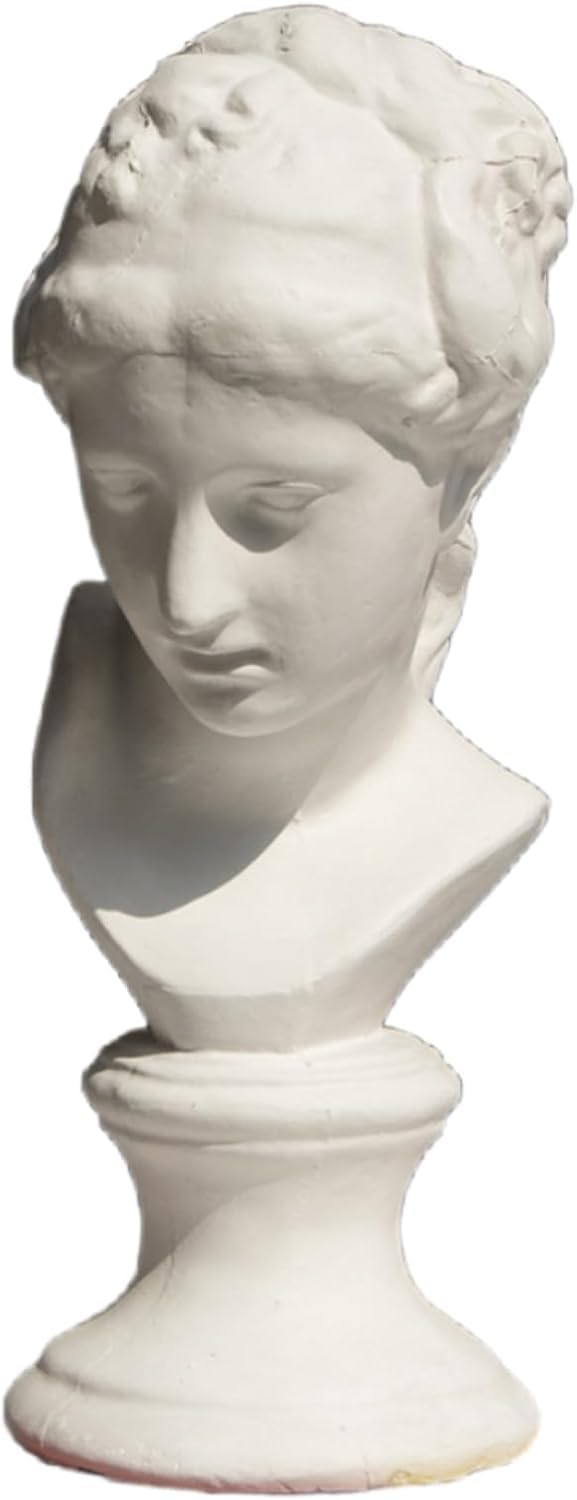 Amazon.co.jp: Geyaziu 石膏像 胸像 人物像 置物 デビッド像 石膏像風