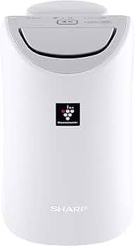 51x1vq7II4L._AC_UF350,