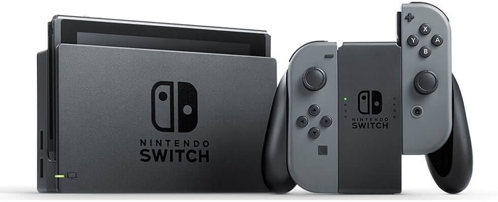 Nintendo Switch グレー 本体 キャリングケース付き Nintendo Switch