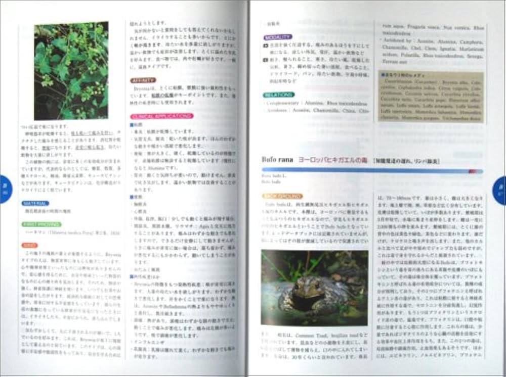 ホメオパシー マテリアメディカ | 森井啓二 |本 | 通販 | Amazon