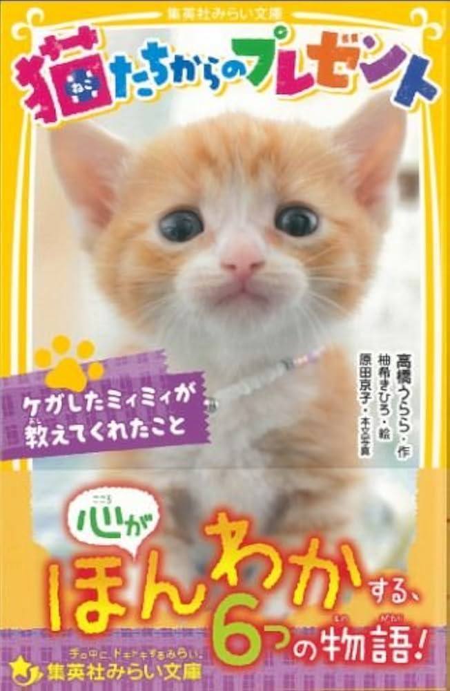 猫たちからのプレゼント ケガしたミィミィが教えてくれたこと (集英社