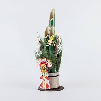 51BDU6bqbgL._AC_UF350,